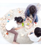 Τουβλάκια με νερό PLAN TOYS